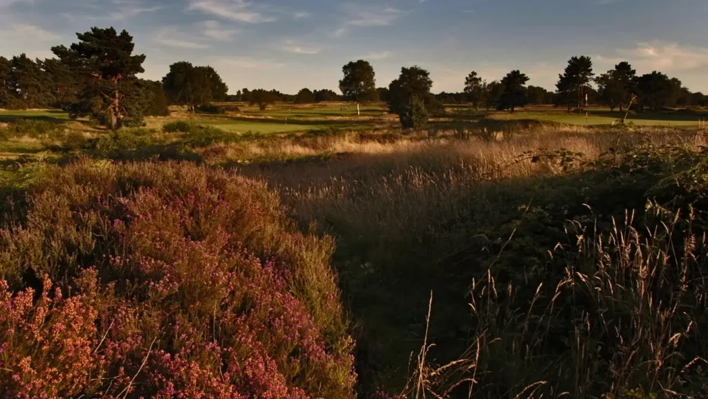 WALTON HEATH GOLF CLUB